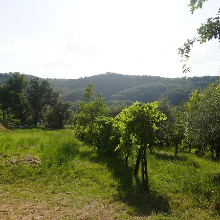 Eden - Nel Cuore Della Natura Vakantiehuis *
