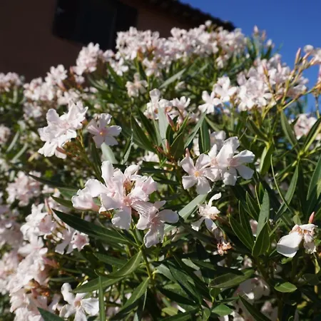 Eden - Nel Cuore Della Natura Compignano (Perugia)