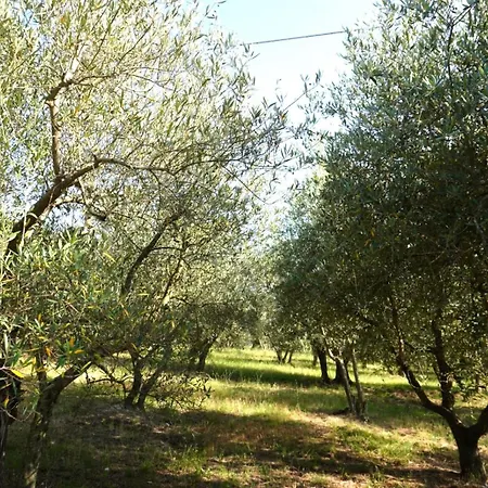 Eden - Nel Cuore Della Natura * Compignano (Perugia)